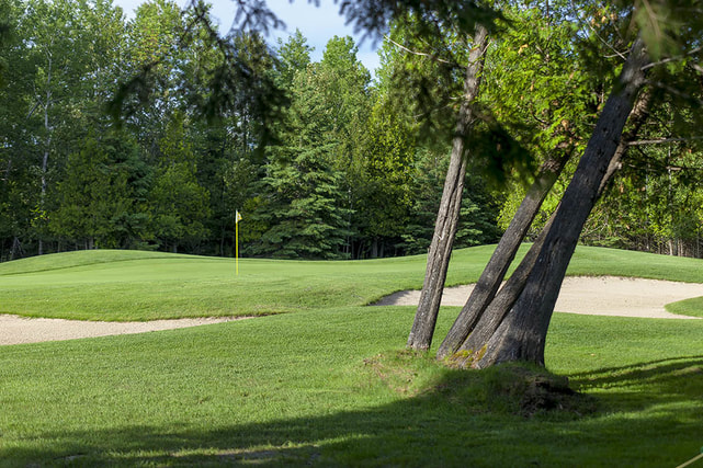 golf course near Petoskey and Charlevoix